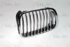 BMW 51138208488 Radiator Grille